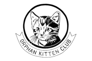 Orphan Kitten Club